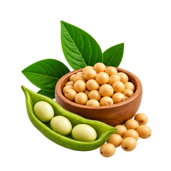 Soy Isoflavones