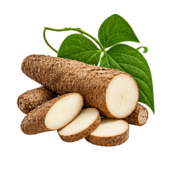 Wild Yam