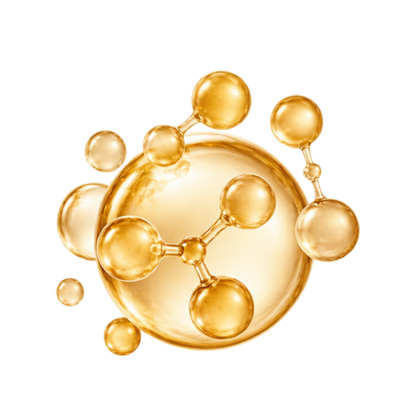 Ceramides